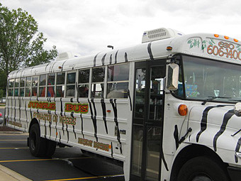 JungleBus Arrival