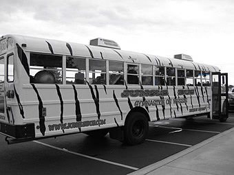 JungleBus Zebra Stripes