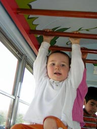 Monkey Bars