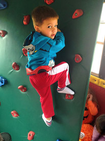 JungleBus Climbing Rock Wall